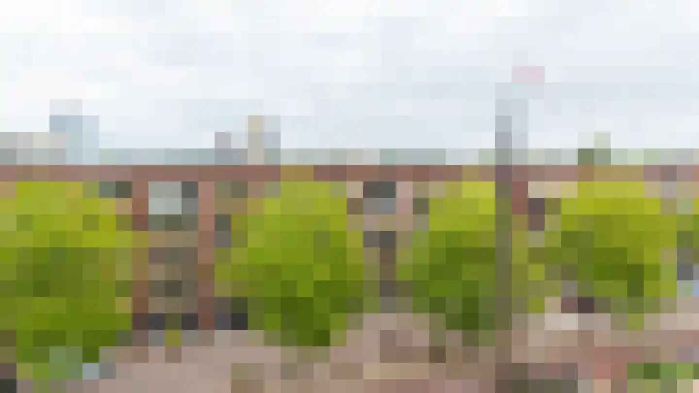 Veilinghavenkade 109 Utrecht thumbnail 59