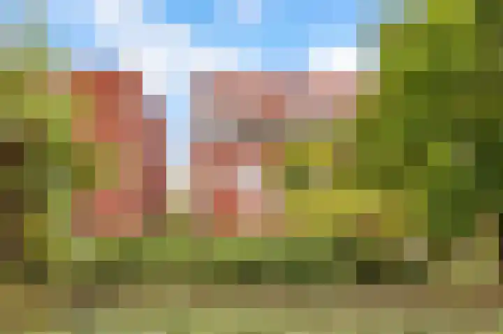 Veilinghavenkade 113 Utrecht thumbnail 44