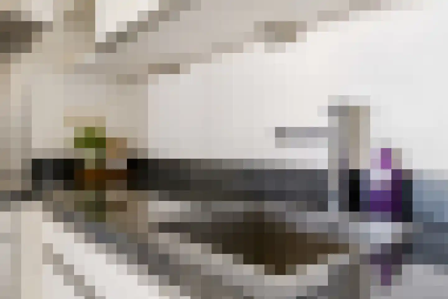 Veilinghavenkade 33 Utrecht thumbnail 20