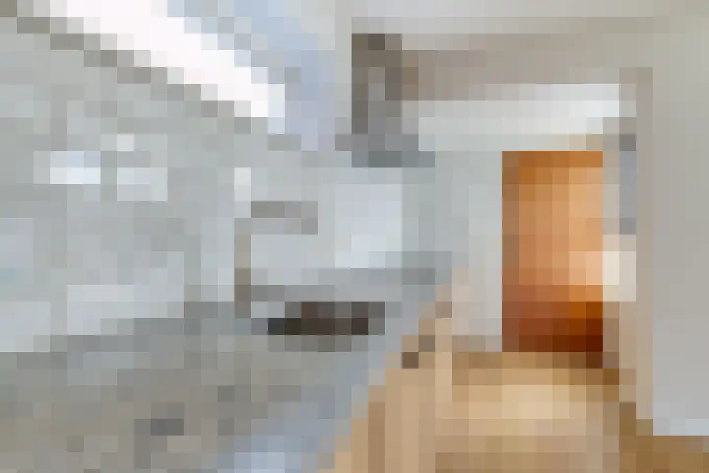 Veilinghof 16 Obdam thumbnail 22