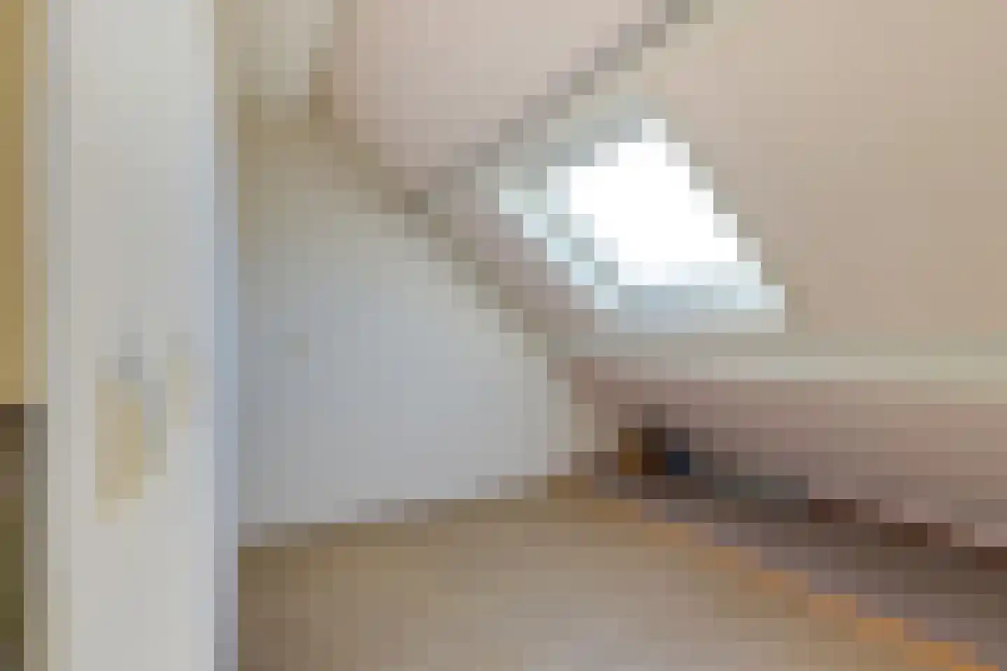 Veilinghof 16 Obdam thumbnail 45