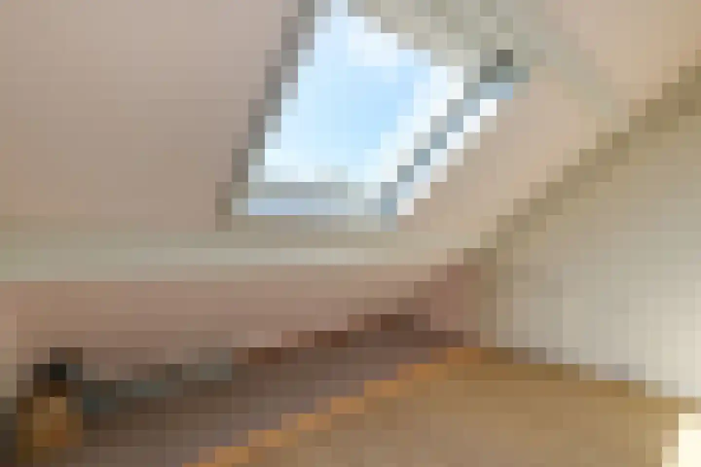 Veilinghof 16 Obdam thumbnail 47