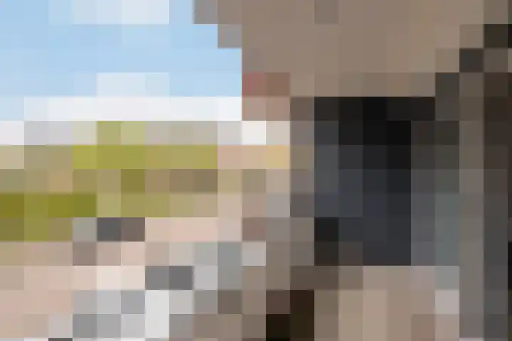 Veilingkade 8 's-Gravenzande thumbnail 15