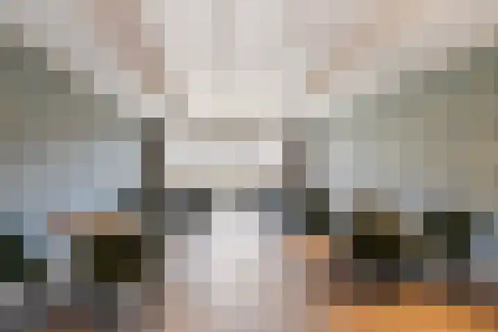 Veilingkade 8 's-Gravenzande thumbnail 25