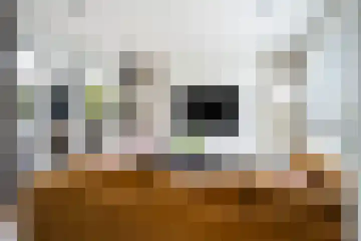 Veilingklok 2 Wijk bij Duurstede thumbnail 11
