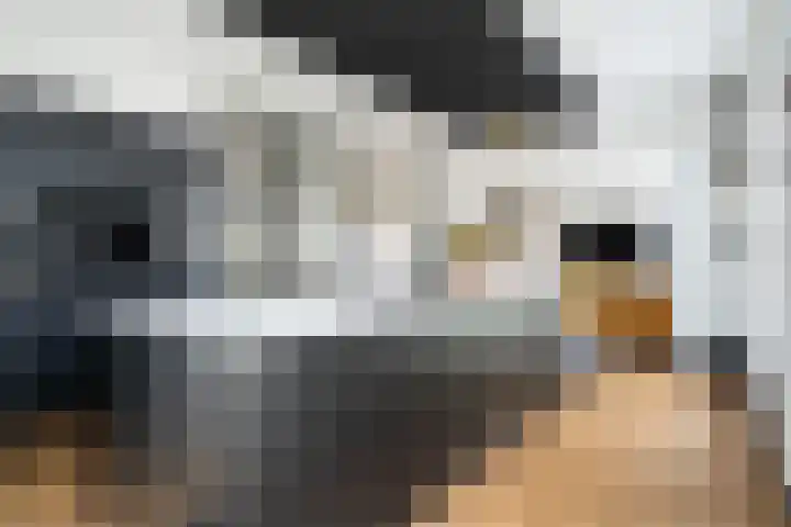 Veilingklok 2 Wijk bij Duurstede thumbnail 17