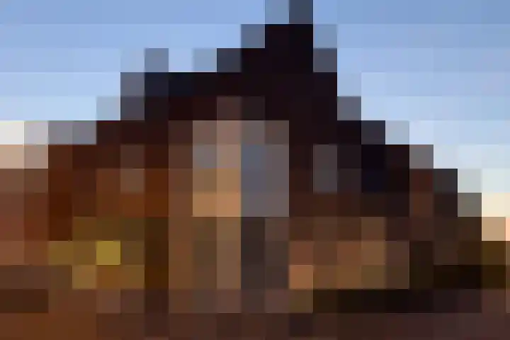 Veilingklok 2 Wijk bij Duurstede foto 2