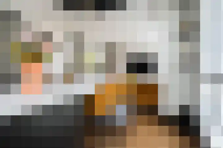 Veilingklok 2 Wijk bij Duurstede thumbnail 21