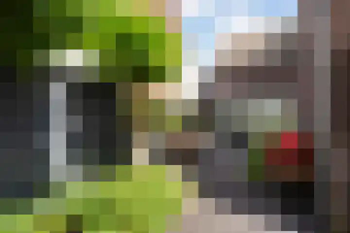 Veilingklok 2 Wijk bij Duurstede thumbnail 30