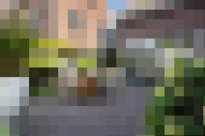 Veilingklok 2 Wijk bij Duurstede thumbnail 31