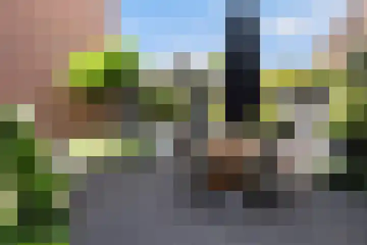 Veilingklok 2 Wijk bij Duurstede thumbnail 32