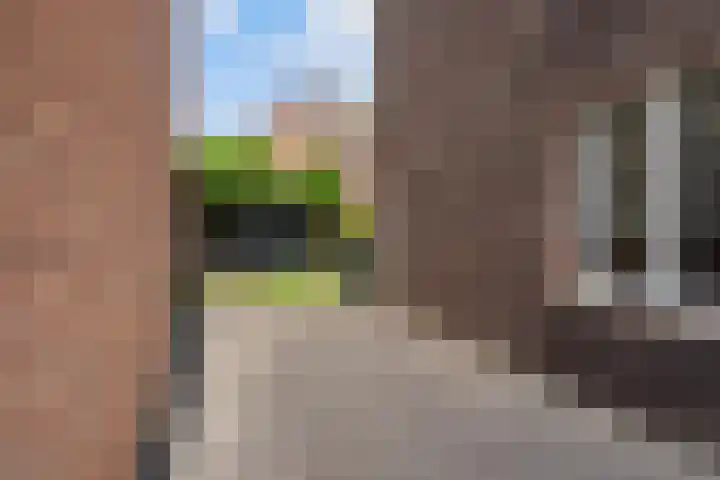 Veilingklok 2 Wijk bij Duurstede thumbnail 36