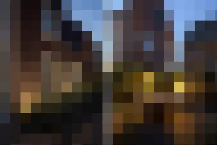 Veilingklok 2 Wijk bij Duurstede thumbnail 37
