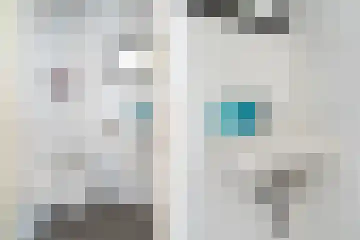 Veilingklok 2 Wijk bij Duurstede thumbnail 41