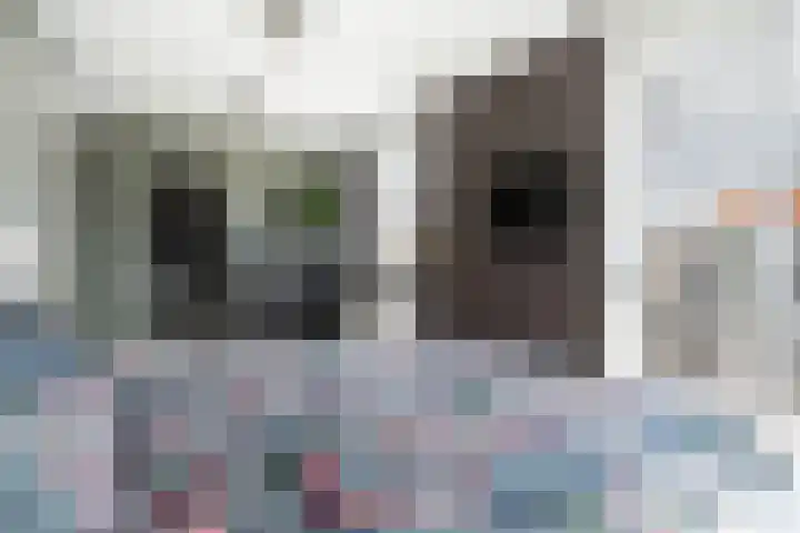 Veilingklok 2 Wijk bij Duurstede thumbnail 44