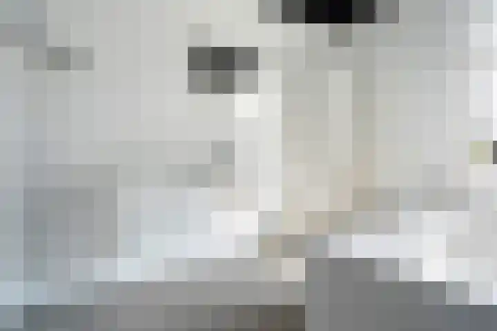 Veilingklok 2 Wijk bij Duurstede thumbnail 48