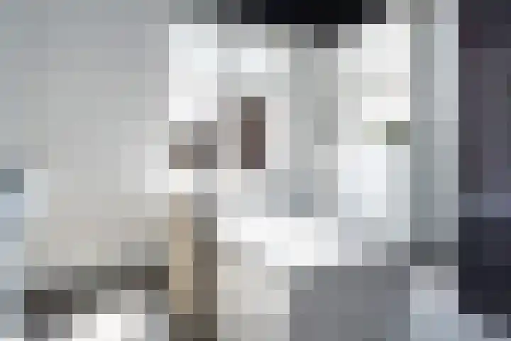 Veilingklok 2 Wijk bij Duurstede thumbnail 50