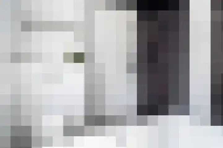 Veilingklok 2 Wijk bij Duurstede thumbnail 51