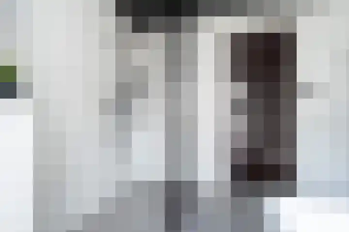 Veilingklok 2 Wijk bij Duurstede thumbnail 52