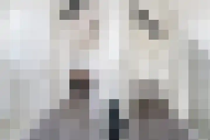 Veilingklok 2 Wijk bij Duurstede thumbnail 58