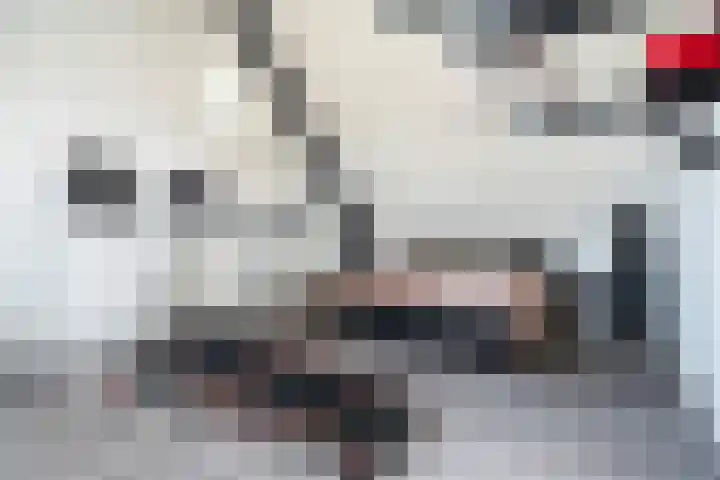 Veilingklok 2 Wijk bij Duurstede thumbnail 59