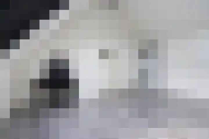 Veilingklok 2 Wijk bij Duurstede thumbnail 65