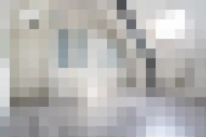 Veilingklok 2 Wijk bij Duurstede thumbnail 66