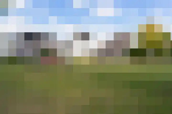 Veilingklok 2 Wijk bij Duurstede thumbnail 69