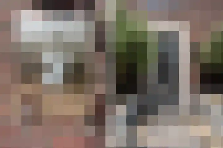 Veilingklok 2 Wijk bij Duurstede thumbnail 70