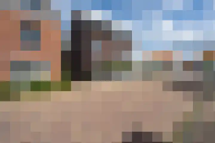 Veilingklok 2 Wijk bij Duurstede thumbnail 72