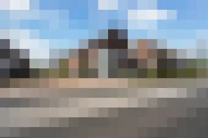 Veilingklok 2 Wijk bij Duurstede thumbnail 75