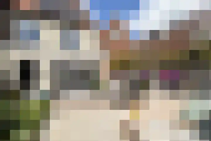 Veilingmeester 32 Wijk bij Duurstede thumbnail 10