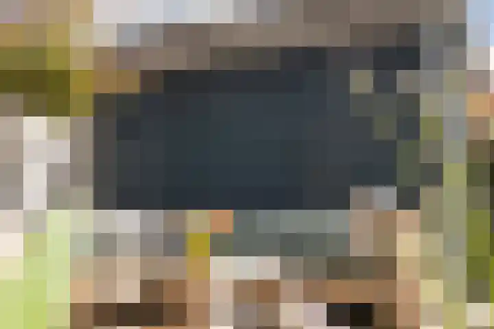 Veilingmeester 32 Wijk bij Duurstede thumbnail 11