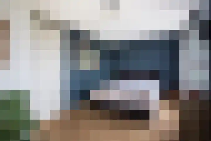 Veilingmeester 32 Wijk bij Duurstede thumbnail 15