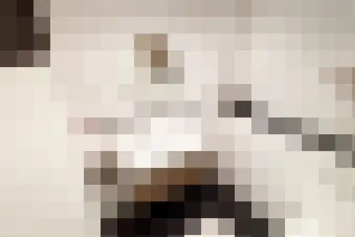 Veilingmeester 32 Wijk bij Duurstede thumbnail 21