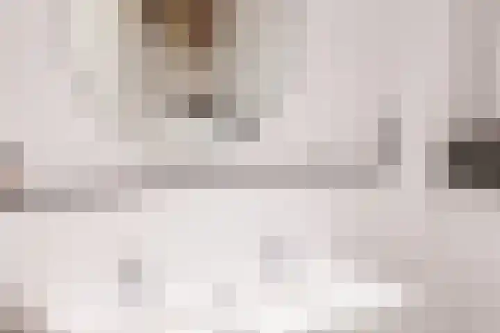 Veilingmeester 32 Wijk bij Duurstede thumbnail 23