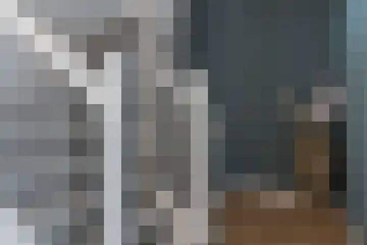 Veilingmeester 32 Wijk bij Duurstede thumbnail 24