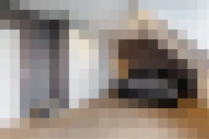 Veilingmeester 32 Wijk bij Duurstede thumbnail 25