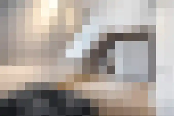 Veilingmeester 32 Wijk bij Duurstede thumbnail 26