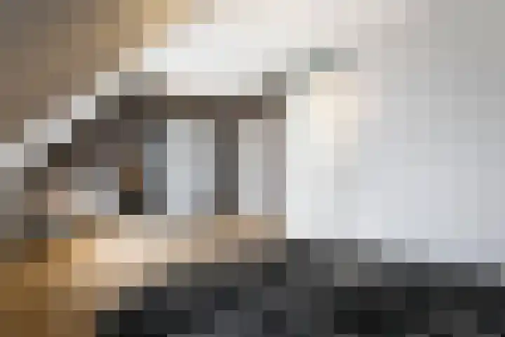 Veilingmeester 32 Wijk bij Duurstede thumbnail 27