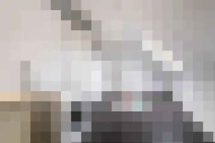 Veilingmeester 32 Wijk bij Duurstede thumbnail 31