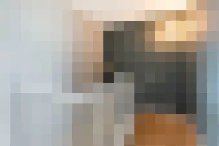 Veilingmeester 32 Wijk bij Duurstede thumbnail 32