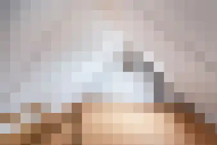 Veilingmeester 32 Wijk bij Duurstede thumbnail 33