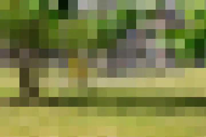 Veilingmeester 32 Wijk bij Duurstede thumbnail 35
