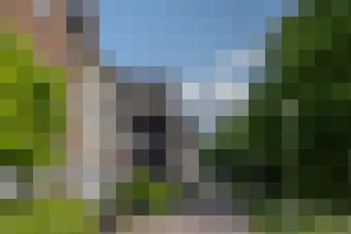 Veilingmeester 32 Wijk bij Duurstede thumbnail 36