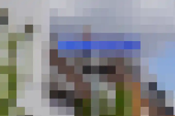 Veilingmeester 32 Wijk bij Duurstede thumbnail 37