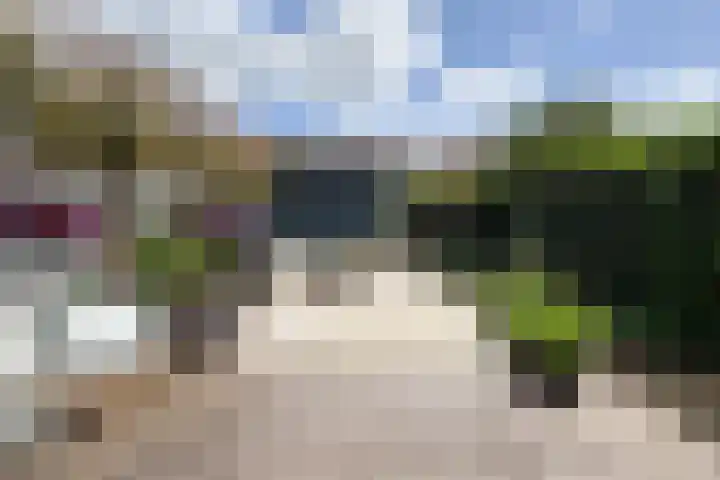 Veilingmeester 32 Wijk bij Duurstede thumbnail 9