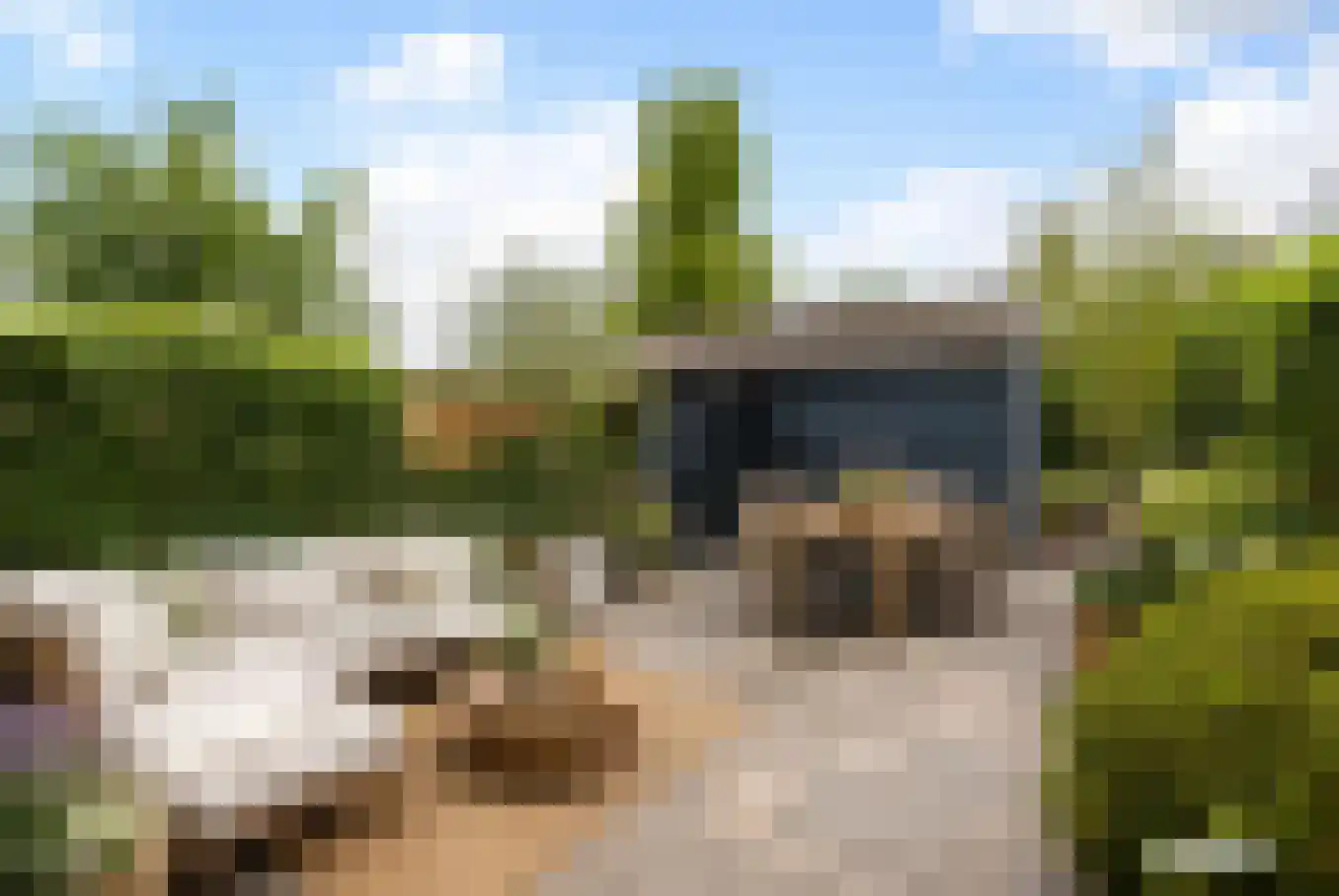 Veilingpark 5 Wijk bij Duurstede thumbnail 17