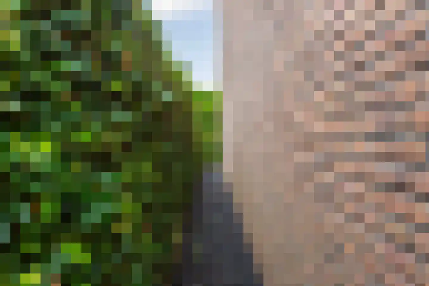 Veilingpark 5 Wijk bij Duurstede thumbnail 22