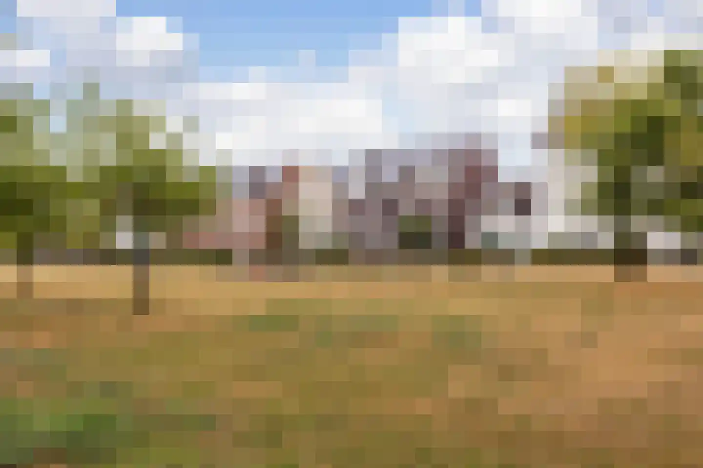 Veilingpark 5 Wijk bij Duurstede foto 3